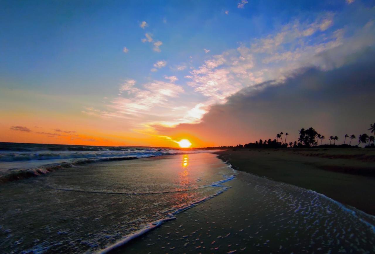 Sleeping Elephant Beach Resort Tangalle Exterior photo