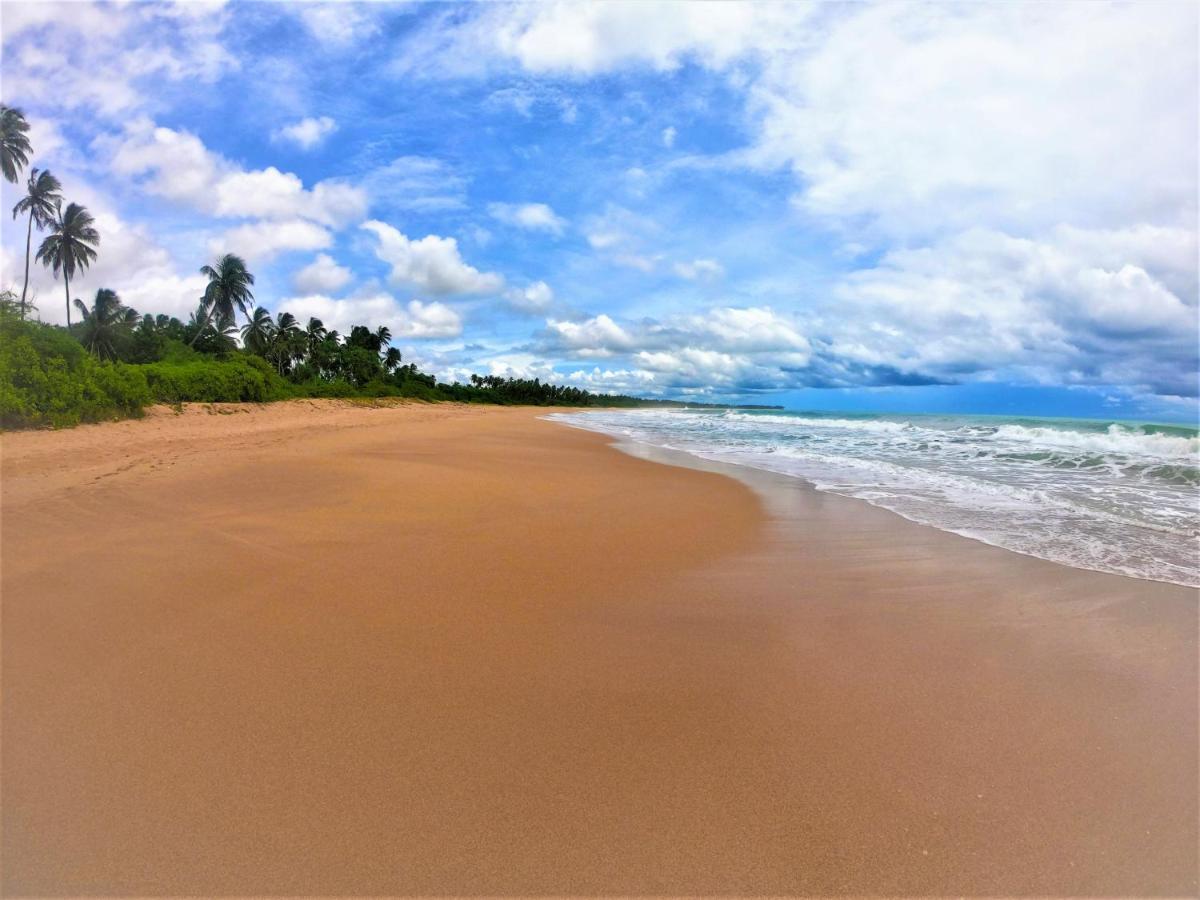 Sleeping Elephant Beach Resort Tangalle Exterior photo