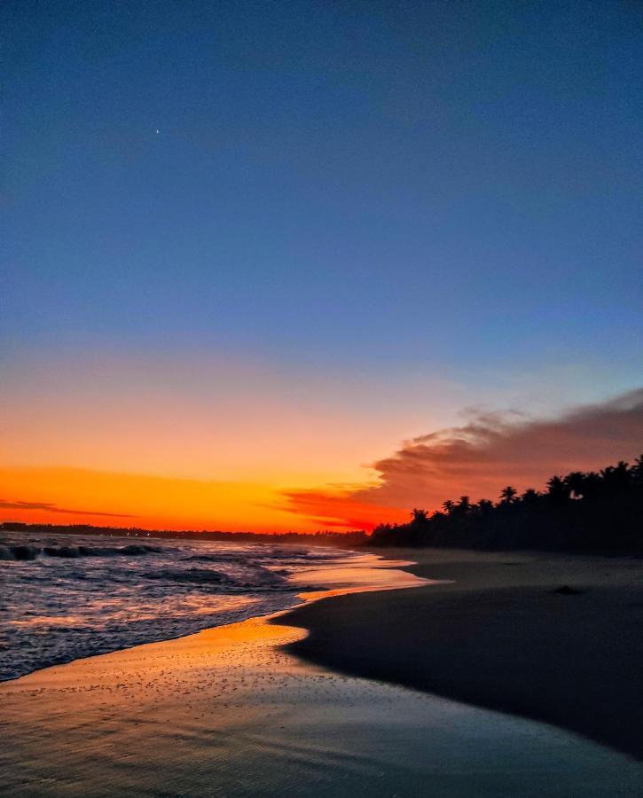 Sleeping Elephant Beach Resort Tangalle Exterior photo